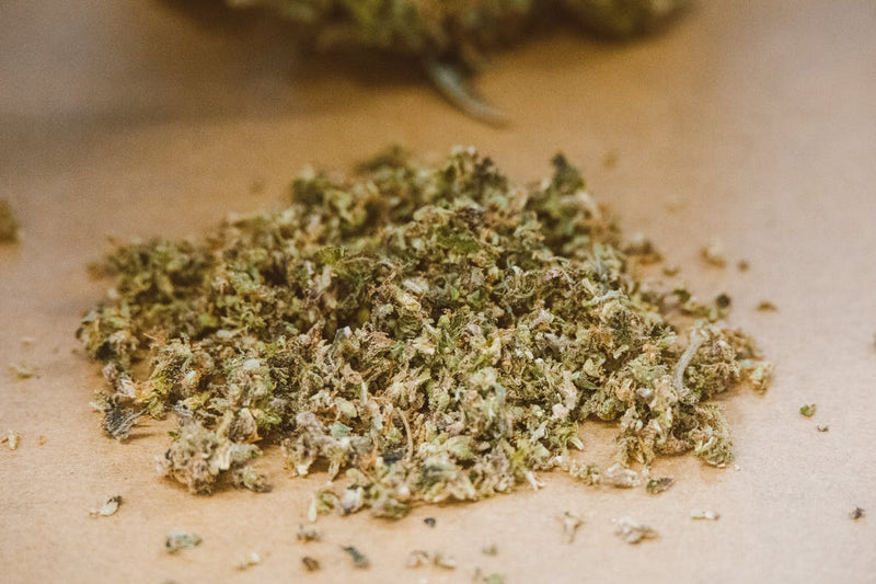 Weed grinded for automatic cone filler