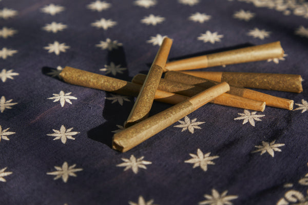 Top Best Pre Rolled Cones to Stock in Your Dispensary