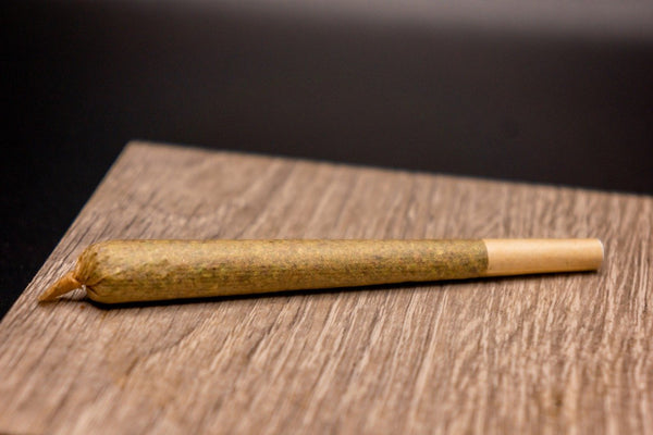 A cannabis cone with a filter and a twisted tip