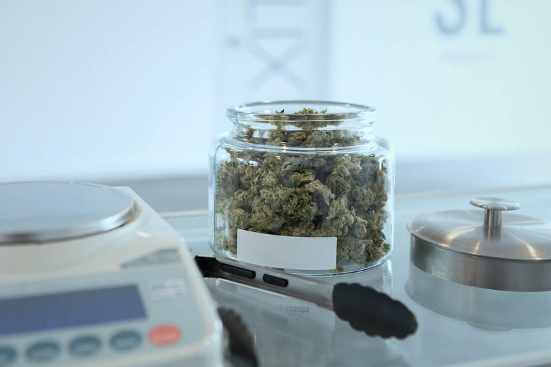 Jar of cannabis in a dispensary