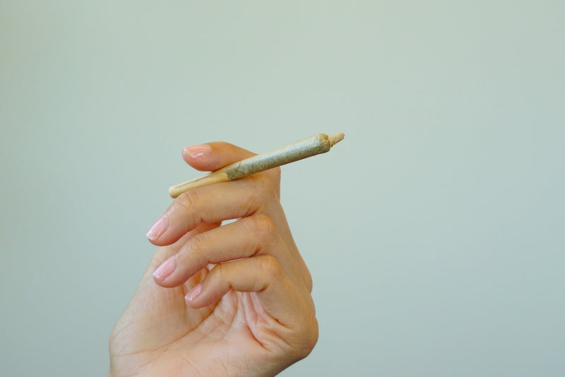 Hand holding a pre rolled cone