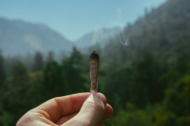 Someone holding up a joint against a mountain background