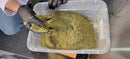 Revolution 2.0 Commercial Cannabis Grinder - The Cones Factory