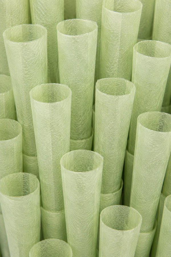Green Paper