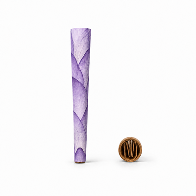 Lotus Petal Cones - Pack of 70 cones