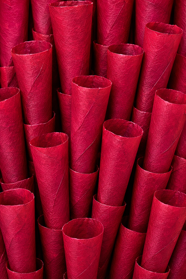 Red Rose