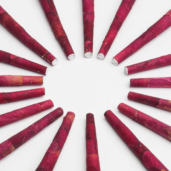 Closeup of red rose pre roll filter tips.